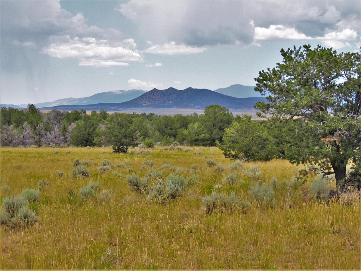 Perfect Cabin, 2 Bedrooms, Fireplace, Midtown, Sleeps 5 ルイドソ エクステリア 写真