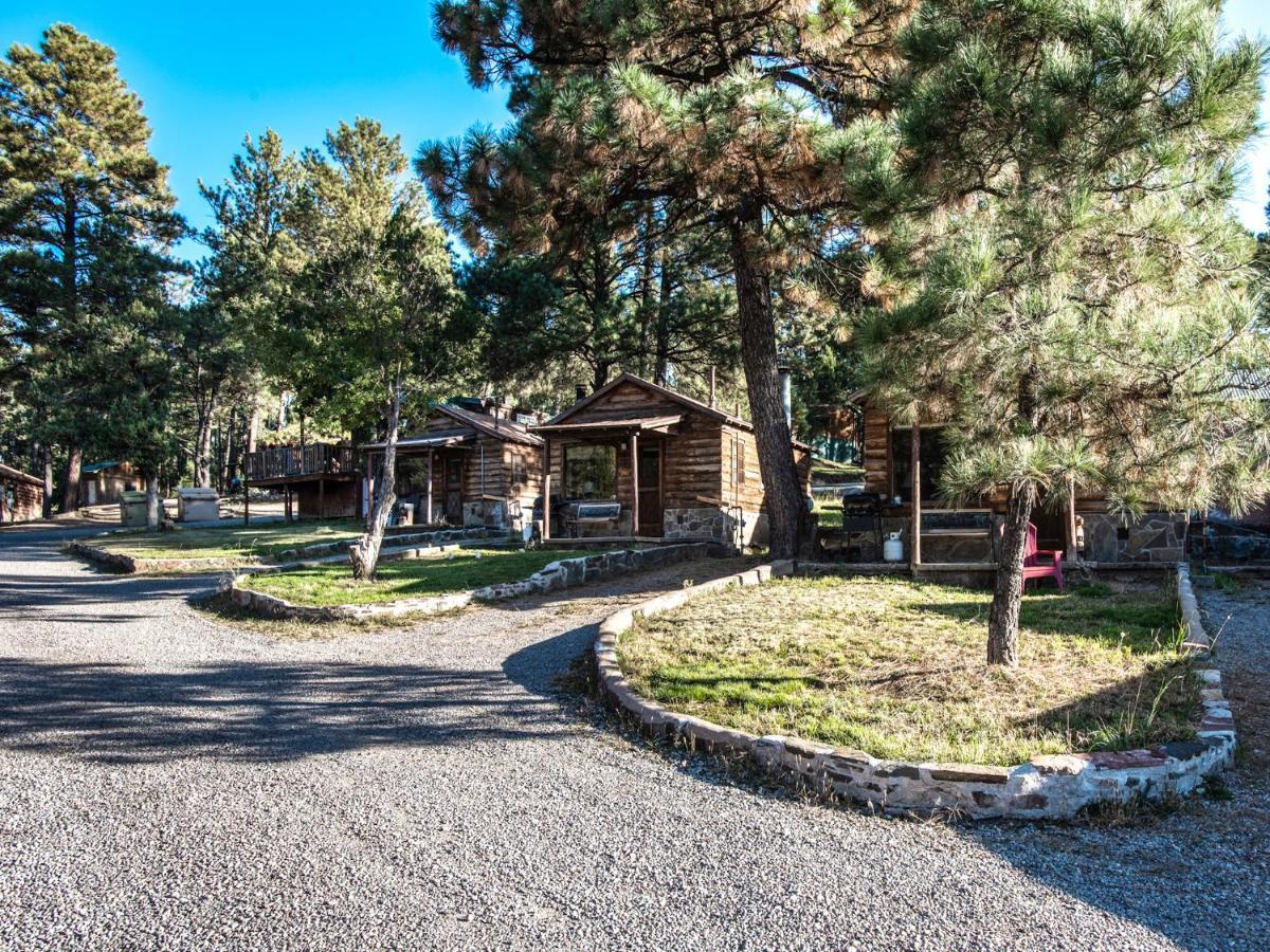 Perfect Cabin, 2 Bedrooms, Fireplace, Midtown, Sleeps 5 ルイドソ エクステリア 写真